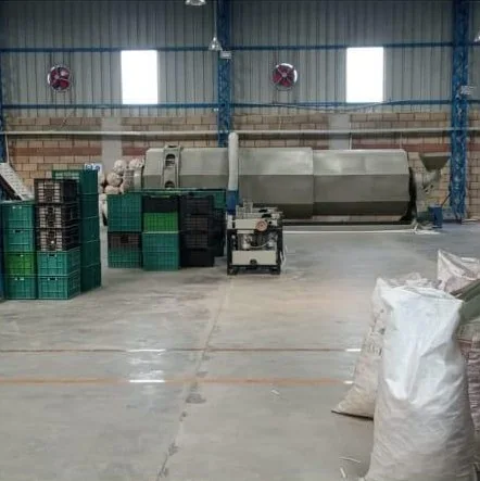 The drying line on the production floor
